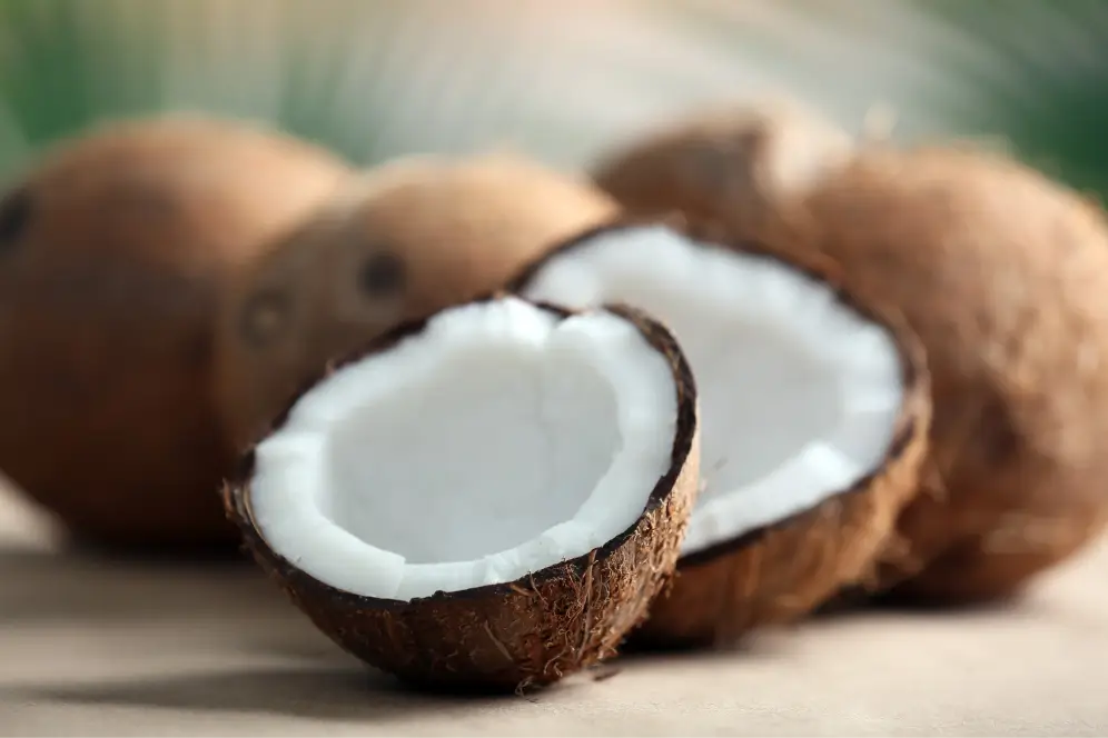 Coconut 