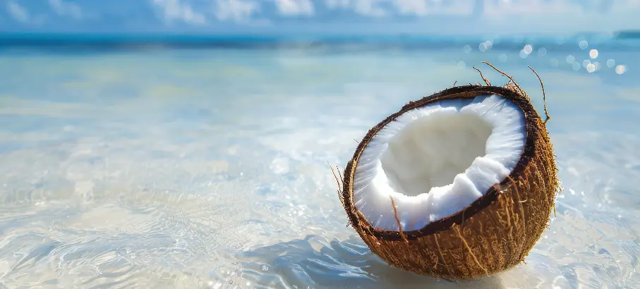 coconut